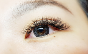 聖誕節優惠活動 美睫❤️6D 多層次600根 儲值3堂優惠4800元