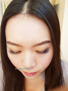 山茶花+6D+9D高階多層次美睫班