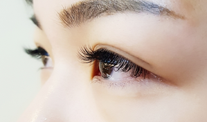 美睫創業全科班開放報名