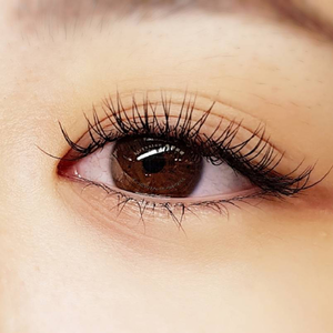 早鳥預約優惠,3D美睫200根特價699元